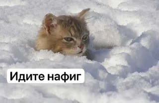 🌟 emoji Зимочка❄️ Telegram sticker 17 of 32