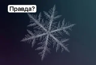 🌟 emoji Зимочка❄️ Telegram sticker 21 of 32