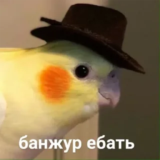 🙋‍♀️ emoji доброе утро и привет Telegram sticker 16 of 90