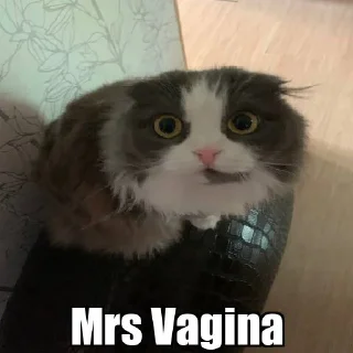 Sticker from Mrs Vagina