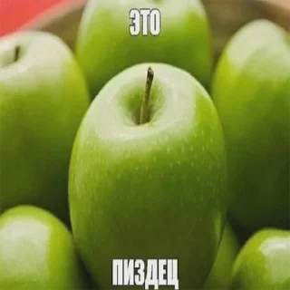🍏 emoji Мамут Рахал 2: Месть Ясоса Бибы Telegram sticker 17 of 120