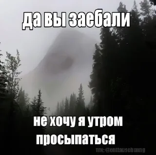 Sticker from эй биомусор