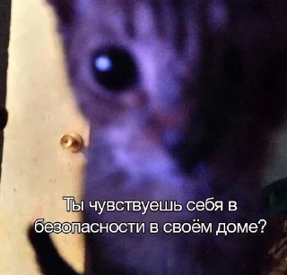 Sticker from чоч by @flopka