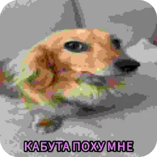 🌟 emoji От креветки Telegram sticker 10 of 65