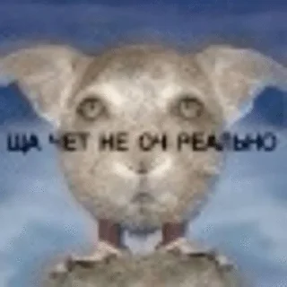 🌟 emoji МЕГАДРИСТОМЕМ5000 Telegram sticker 13 of 120