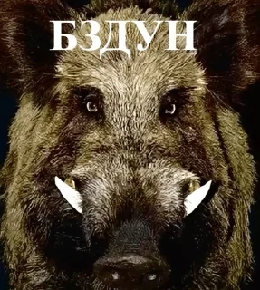 🌟 emoji МЕГАДРИСТОМЕМ5000 Telegram sticker 8 of 120