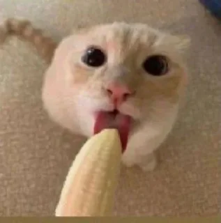 🍌 emoji Максик Telegram sticker 15 of 26