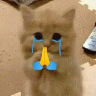 🙏 emoji Максик Telegram sticker 22 of 26