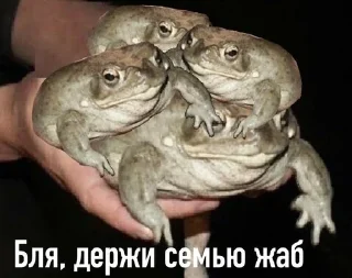 🌟 emoji Жабу Telegram sticker 13 of 38