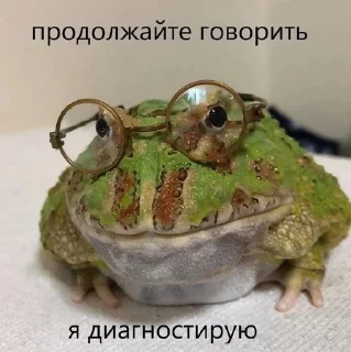 🌟 emoji Жабу Telegram sticker 20 of 38