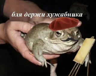 🌟 emoji Жабу Telegram sticker 7 of 38