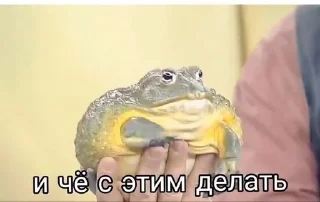 🌟 emoji Жабу Telegram sticker 11 of 38