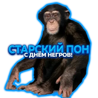 🙄 emoji Легендарный стикерпак Telegram sticker 16 of 54