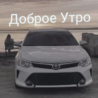 Sticker from Про чат)