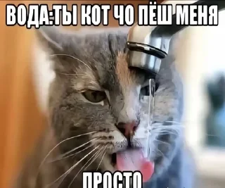 🌟 emoji Предметы 13:56 Telegram sticker 3 of 120