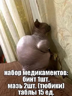 🌟 emoji Предметы 13:56 Telegram sticker 15 of 120