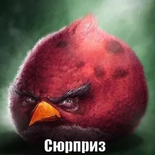 🌟 emoji птички Telegram sticker 23 of 30