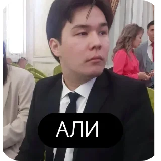 🖼 emoji Наполеон Баскак Telegram sticker 24 of 120