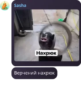 ⚓ emoji Капібарський рух pack by @QuotLyBot Telegram sticker 24 of 119