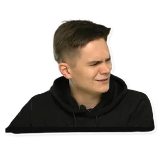 🤨 emoji Forest Home Telegram sticker 9 of 19