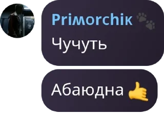 🤙 emoji 𝕂𝕆𝕊ℍ𝔸𝕋ℕ𝕀𝕂. Общение/поли pack by @QuotLyBot Telegram sticker 8 of 71