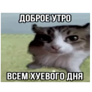 ❤ emoji 🎀 Telegram sticker 11 of 120