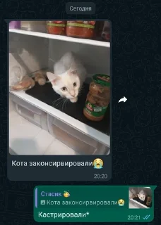 😭 emoji Надристал Стиля 3 Telegram sticker 18 of 110