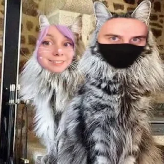 🐱 emoji Ланусик🥰🥰 Telegram sticker 21 of 65