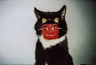 Sticker from Котяры ➡️ @Ctikerubot