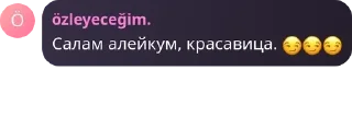 😏 emoji Арсул, джамал альфа Telegram sticker 13 of 27
