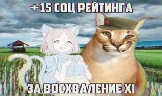 😺 emoji Китай Партия² Telegram sticker 10 of 47