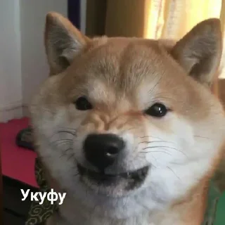 😡 emoji Аф спешл Telegram sticker 2 of 41
