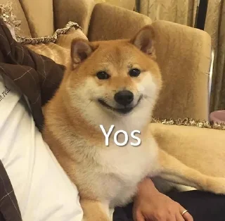 ☺️ emoji Аф спешл Telegram sticker 21 of 41