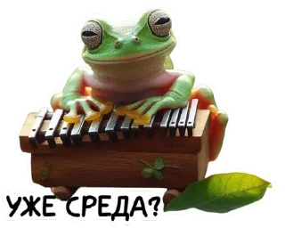 🐸 emoji @kalimbulla Telegram sticker 13 of 15