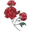 🌟 emoji blood water ➡️ @Ctikerubot Telegram sticker 13 of 63