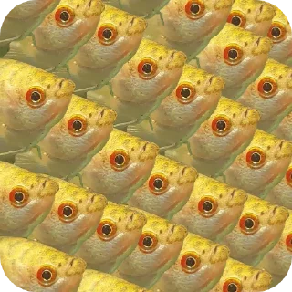 🐟 emoji Гурамі золотий | by @MrFaulpelz Telegram sticker 16 of 61