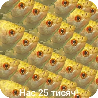 👥 emoji Гурамі золотий | by @MrFaulpelz Telegram sticker 14 of 61