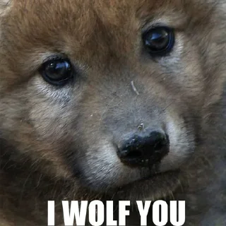 🐺 emoji СТИКЕРЫ ТОЛЬКО ДЛЯ NOхFABLE Telegram sticker 12 of 46