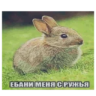 💗 emoji Секс Telegram sticker 18 of 26