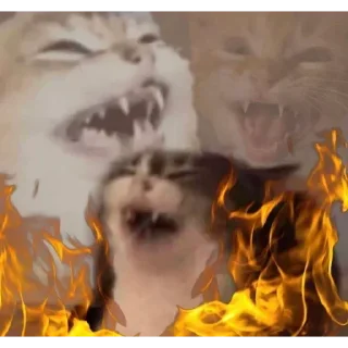 👾 emoji БОЛЬШЕ ⇨ @CLOOBHUB МЕМЫ КОТЫ ОКАК СТИКЕРЫ ТГ КРД Telegram sticker 20 of 116