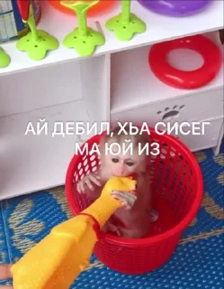 😍 emoji ГӀалгӀай пон бибизьӀянеж @galgamanky Telegram sticker 16 of 55