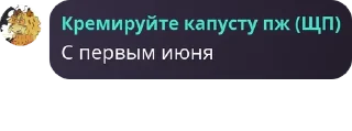 ⌚ emoji Шампунь кря-кря для деток Telegram sticker 1 of 120