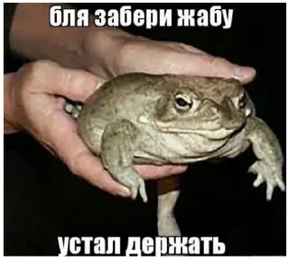 🐸 emoji жабы Telegram sticker 9 of 20