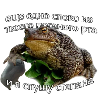 Sticker from жабы