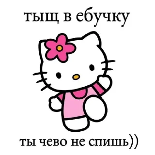Sticker from ебнутаякошка.cam