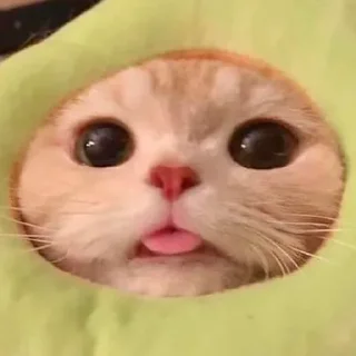😋 emoji /////// Telegram sticker 17 of 60