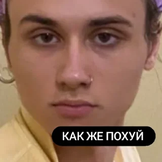 Sticker from Нет блин влад умный👺