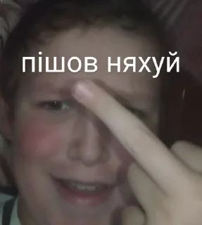 🖕 emoji Якась дічара галімейша Telegram sticker 19 of 55