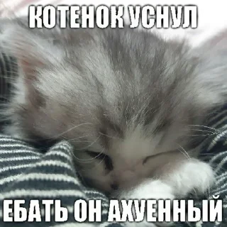 😴 emoji ибрагим долбаеб Telegram sticker 2 of 29