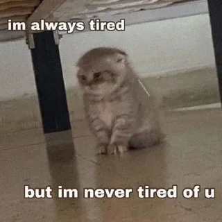 ❤️ emoji ибрагим долбаеб Telegram sticker 18 of 29